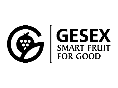 Gesex